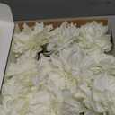 Ling's moment Artificial Flowers 9pcs Silk Dahlia 5.5"/4.5" Fake Flowers for DIY Wedding Craft Bouquets Centerpieces Arrangements Party Baby Shower Home Decorations (Ivory)