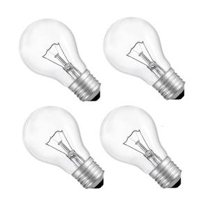 Hoimuv 75 Watt Incandescent Light Bulbs, A19 75 WATT Incandescent Bulb Shatter Resistant Rough Service Light Bulb 75 WATTS A19 Shape 4PACK