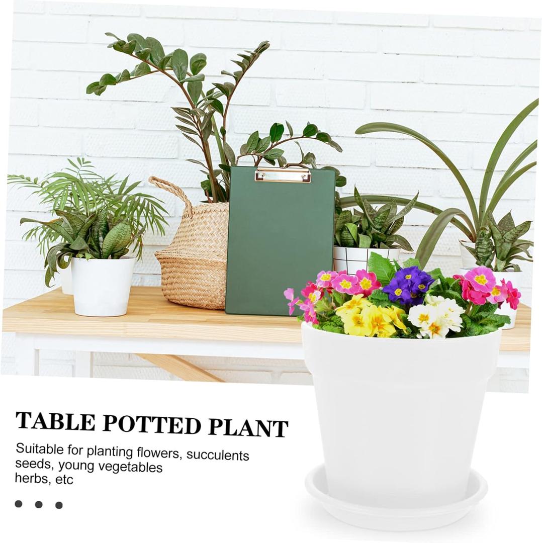 6 Cactus Pots for Plants and Decorative Displays (9.5x9.5X9cm, White)
