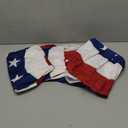 Flaglink 1.5x3Ft American Pleated Fan Flag Width Approx 90cm - US Patriotic Half Fan Bunting Flag 4 PACK