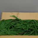 Senjie Christmas Garland Norfolk Pine Garland Real Touch Artificial Greenery Garland for Mantle Fireplace Table Indoor Outdoor Holiday Decortions 6FT 2PCS (6 ft (1 Pack- Young ))