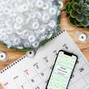 LIFE SAVERS Mints, Bulk Hard Candy Wint-O-Green Breath Mints, 2.8 LBS Party Size (44.93 oz(Pack of 1))