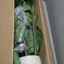 Realead 6ft Fiddle Leaf Fig Tree Artificial with Tall Exquisite Planter - Tall Faux Fiddle Leaf Fig Tree with Natural Trunk and Lifelike Leaves - Fake Fig Tree for Home Living Room Indoor Decor