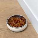 Fringe Studio Speckled Stripe Ivory Small Ceramic Pet Bowl W/Stainless Steel Bowl Insert (5" Diameter x 1.75" H, 13 fl.oz.), PetShop Collection (793SM001)