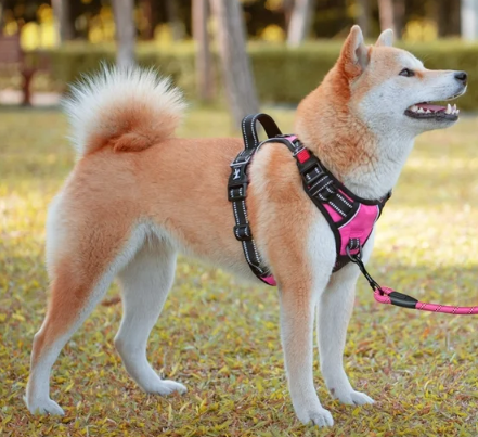 PoyPet Dog Harness, Escape Proof No Pull Vest Harness (Pink,S)