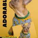 Cuban Link Dog Collar - 3/4 in Wide Irish Green Metal Chain Collar, Designed Puppy Necklace, Stands Out Costume Jewelry for Bully, Doberman,Boxer 24"