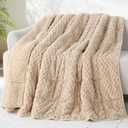 Drewin Weighted Blanket Twin Size 15 lbs, 3D Turtleback Pattern Jacquard Sherpa Weighted Blankets, Adult Weighted Blankets for Sleep Natural and Relaxing, Beige, 48 x 72 inches (48*72 15LBS)
