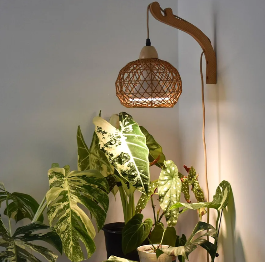 Bstrip Hanging Grow Lights for Indoor Plants, 18W Full Spectrum Plant Light, Boho Rattan Lantern Shade, 3800K Wall-Mounted Decorative Grow Light with 9.8FT Power Cord for Indoor Plant Growing, Flowers