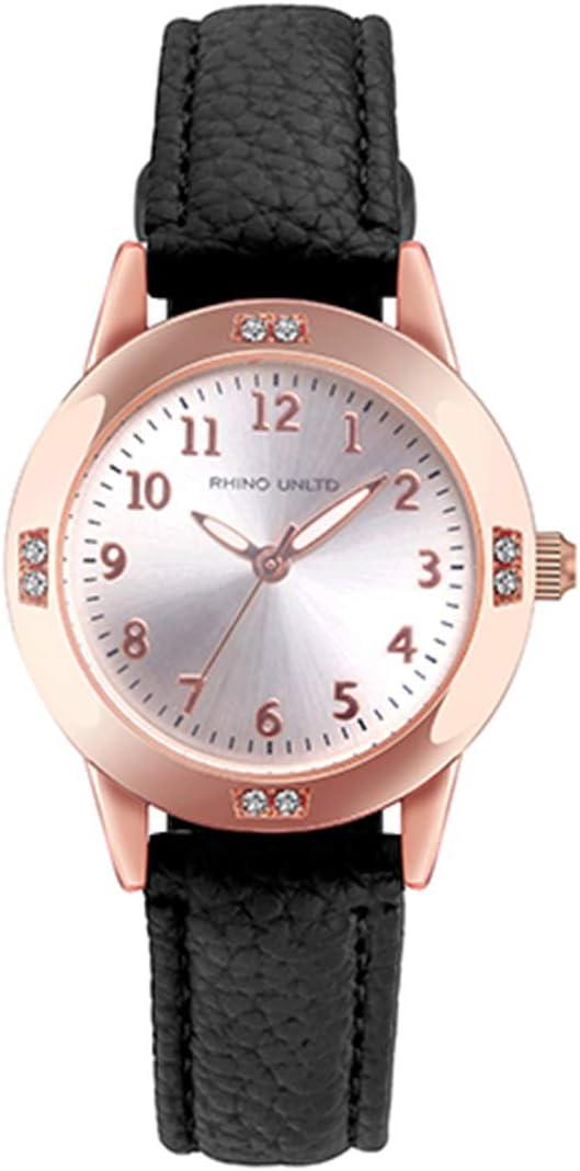 Women's Leather Band Quartz Movement Waterproof Business Classic Analog Watch with Genuine Leather Stainless Steel Band Elegant Ladies Watch (Black)