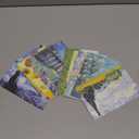 Monolike Vincent van Gogh Single card - mix 12 pack