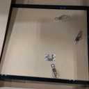 10x20 Picture Frame for Wall Display, 10x20 Black Picture Frame with Shatter Resistant Plexiglass, Stable and Sturdy 10 x 20 Poster Frame for Wall Display, Handpicked Gift Collection, 1 Pack