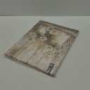 White Daisy Canvas Wall Art Vintage Wall Decor Pictures Country Farmhouse Poster Print Oil painting style Painting Artwork for bedroom home Bathroom decoration 12x16in (16L"x12W")