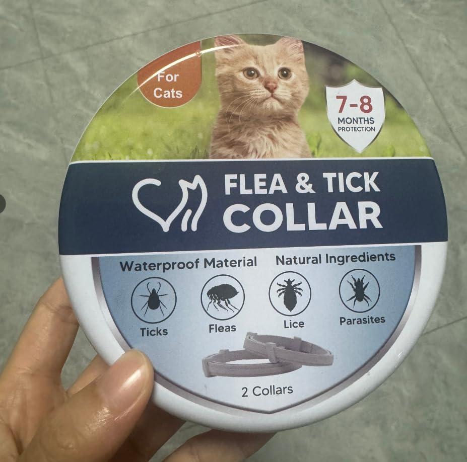 Dogs Collar (1 Ounce (Pack of 1))