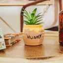 Silver Buffalo Disney Winnie The Pooh Hunny Pot 3-Inch Ceramic Mini Planter with Artificial Succulent | Small Flower Pot, Faux Indoor Plants for Desk Shelf, Home Decor Trinket Tray and Collectibles