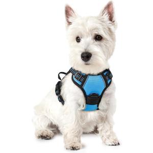 rabbitgoo Dog Harness No Pull with 2 Leash Clips, Adjustable Soft Padded, Reflective Oxford No Choke Pet Vest with Easy Control Handle for Puppy, Blue, XS