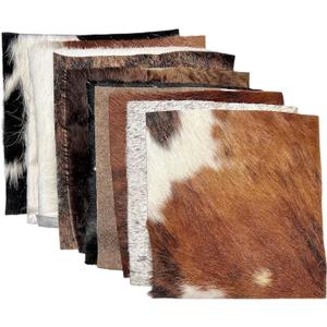rodeo 10 PCS Assorted Color Hair On Cowhide Remnant Scraps for Crafts (10x10 in)