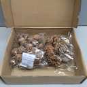 60 Pcs Large Natural Pine Cones for Crafts, 3 Kinds of Pine Cones. Christmas Pine Cones Ornaments- Fall Small Pinecones Vase Fillers for DIY Crafts, Home Decorations, Fall and Christmas, Wedding Decor