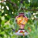 Hummingbird Feeder, BOLITE Glass Hummingbird Feeders for Outdoors Hanging, Hand Blown Twisted with Ant Moat, 5 Bee-Proof Ports, 360 Perch, Leak-Proof, 24oz, Purple, Gifts for Mom Dad Women Men