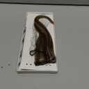 Hairro 6PCS 6 Clips In Short Hair Extensions Remy Real Human Hair Clip Ins Mini Clip On Hairpin Hairpieces For Women 31g 10 Inch #4P27 Medium Brown&Dark Blonde