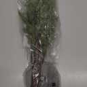 Fudios Lighted Pine Branches with Timer 32IN Battery Operated or USB Plug In, Lit Willow Branches with Lights for Christmas Fireplace Mantle Decor (Dark Green)