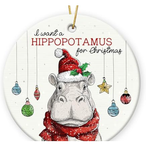 3 x I Want A Hippopotamus for Christmas Ornament 2025 - Hippo Gifts for Women Friends Coworkers, Funny Hippo Ornament as Christmas Tree Decorations, Funny Animal Lovers Gifts for Man Woman