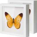 QDSSDECO 10"x10" Shadow Boxes Display Cases with Soft Linen Back Deep Wood Glass 3D Shadow Box Set for Wall and Tabletop Baby Sports, 2 Pack White