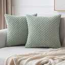 MIULEE Throw Pillow Covers Soft Corduroy Decorative Set of 2 Boho Striped Pillow Covers Pillowcases Farmhouse Home Decor for Couch Bed Sofa Living Room Spring 20x20 Inch Greyish Green (20" x 20" (Pack of 2))