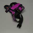 rabbitgoo Dog Harness for Large Dogs, No Pull Pet Vest with 3 Buckles, Adjustable Soft Padded Pet Harness with Easy Control Handle and Reflective Strips, Purple, L