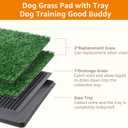 LOOBANI Dog Grass Pad with Tray - Dog Litter Box - Indoor Potty for Apartment and Patio Training - with 2 Packs Grass Pee Pads for Replacement, 1620 Inch