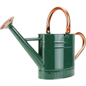 1 Gallon Metal Watering Can with Removable Spout, Nice Galvanized Steel Water Can with Embossed Design for Indoor and Outdoor Plants (Green)