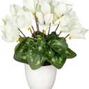 Hollyone Artificial Cyclamen Flowers Plant Potted Fake Silk Flower Plants in White Pot Faux White Cyclamen Flowers Arrangement Home Decor Office Bathroom Shelf Desk Decorations