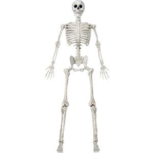 JOYIN 6.9 FT Halloween Posable Life Size Skeleton, Full Body Realistic Skeleton Bones with Movable Joints for Halloween Indoor Outdoor Party Decoration, Spooky Scene Props, Haunted House Decor, White 