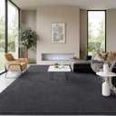 Soft Rugs for Living Room 4x6 Dark Grey, Minimalist Area Rug for Bedroom Nursery Dining Table Dorm, Throw Rugs for Men Boys Girls Kids Room Indoor Floor Carpets