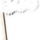 Grahmart Set of 24 Pcs Mini Mexican Paper Papel Picado Tissue Banner Flags Banderita s Fiesta Party Decorations Cupcake Topper Party Banderines Flower Design (white)