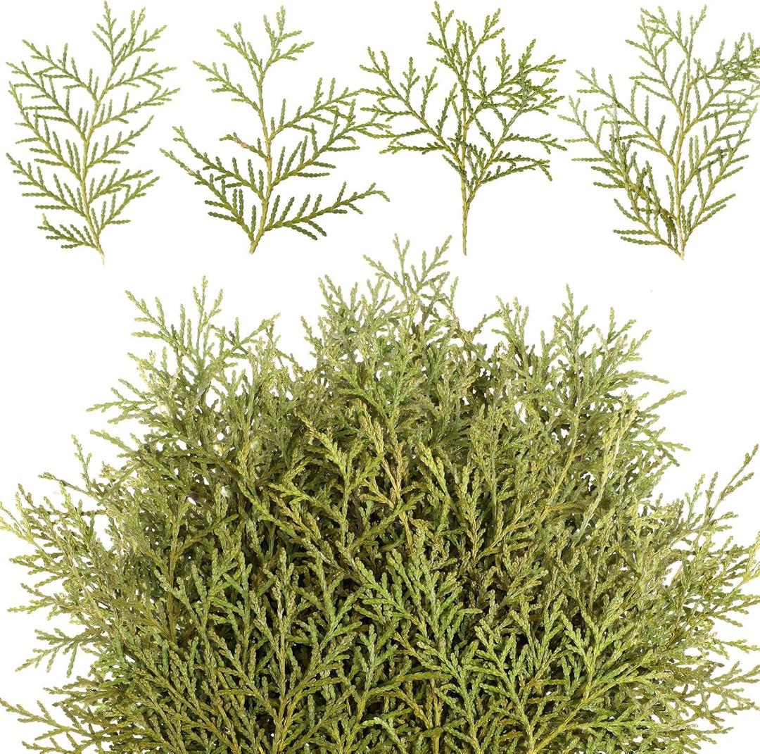 HyDren 150 Pcs Christmas Preserved Real Pine Branches Leaves Greenery Pine Picks Natural Dried Greenery Plants Twigs Wreath Decorations for Christmas Home Decor Indoor Outdoor (4-5 Inches)