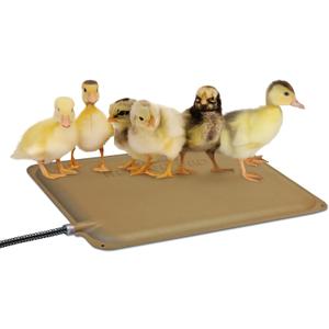 K&H Pet Products Thermo-Peep Chicken Heating Pad for Brooders and Chicken Coops, Warming Heat Plate for Chicks and Ducklings, Safety Listed Poultry Heat Lamp Alternative - Petite 12 X 9in, Tan 25W