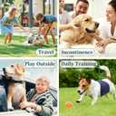 Reusable Dog Diapers Male, Premium Washable Belly Bands for Dogs, Pack of 5, High Absorbing Small Dog Wraps for Doggie & Puppy in Incontinence or Excitable Urination and Training(S)
