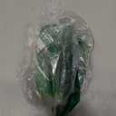 Novelty Green Sea Turtle Hair Clip,Acetate Hair Claw,Big Hair Clips for Women, 2 x 2 x 2 inches