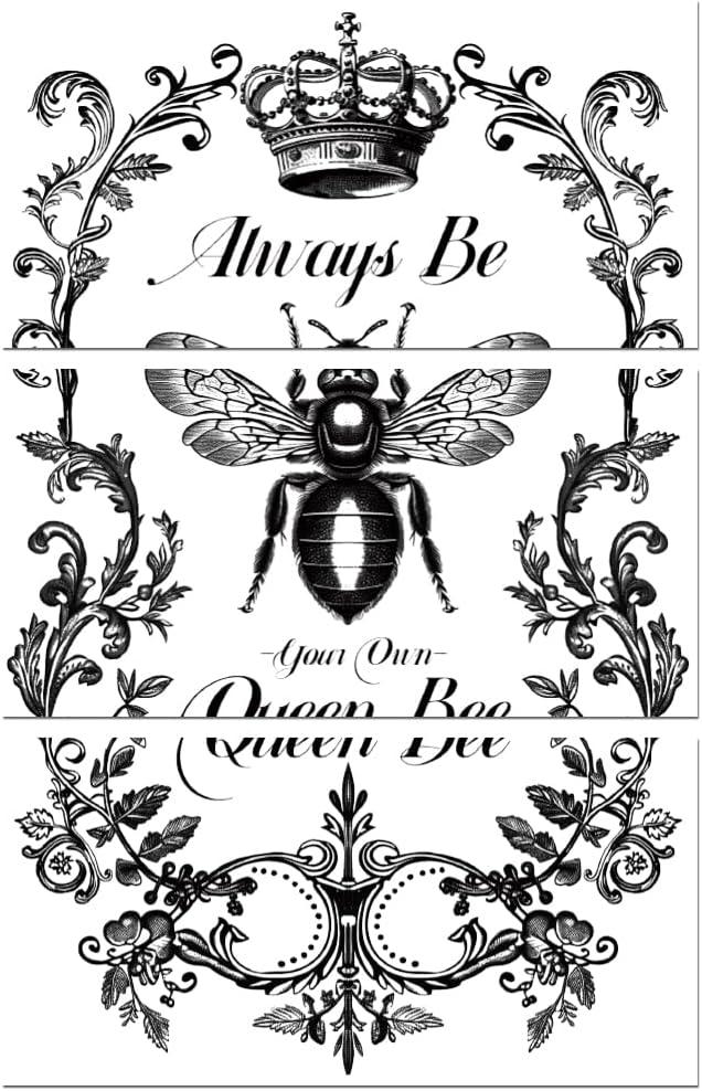 Peacoblue Rub on Transfer Decals for Furniture Crafts Decor Vintage Black and White Queen Bee 6"x12", 3Pcs Waterproof UV DTF Transfer Sticker for Lingerie Chests Drawer Dresser Glass Wood Plastic