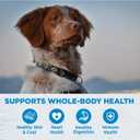 Wellness Simple Limited Ingredient Diet Adult Dry Dog Food, Wholesome Grain Kibble, Sensitive Stomach, Skin & Coat Support, Natural, Chicken Free, Lamb and Oatmeal Recipe, 26 lb Bag (EXP 09/08/26)