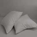 MIULEE 20 x 20 Pillow Inserts (Set of 2) - Throw Pillows Insert Premium Pillow Stuffer Square Form for Decorative Cushion Bed Couch Sofa