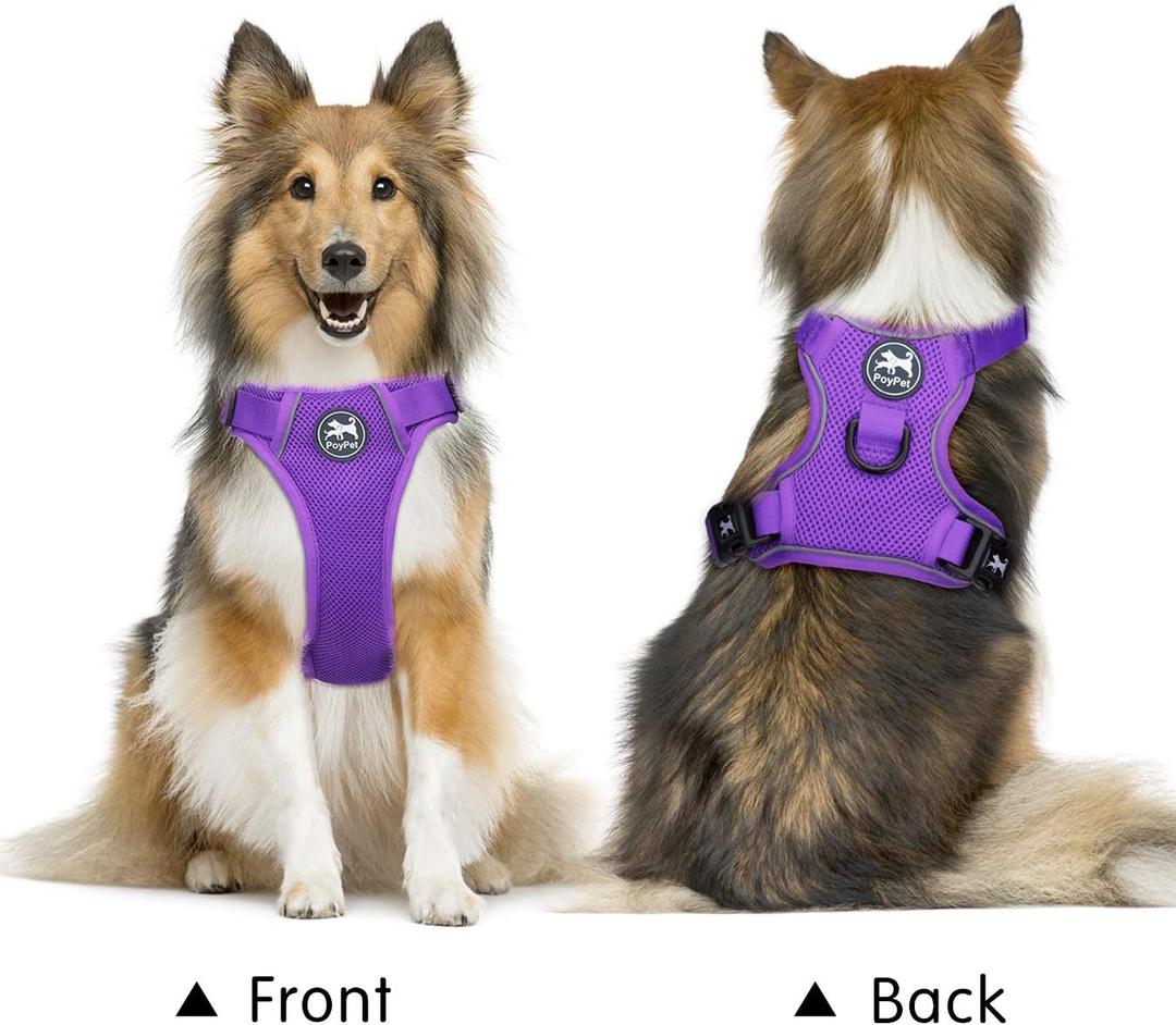 Poypet Vest L