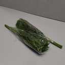 16 Pcs Real Touch Norfolk Pine Branch -18" Artificial Christmas Green Plants Branches Faux Greenery Stem Fake Cedar Pine Picks for Vase DIY Crafts Garland Wreath Xmas Indoor Outdoor Home Decor