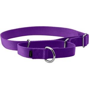 PetSafe Martingale Dog Collar Large, 1 Inch, Deep Purple