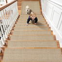 Chenille Stair Treads Non Slip 15pcs Stair Runner for Wooden Steps Rubber Backing Stairs Carpet Treads Indoor Staircase Covers Mat with Rubber Backing for Pets and Kids 8"X30" Beige 10 pcs