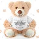 Lenwen a Bear Hug Gift Get Well Soon Sympathy for Women Plush Stuffed Animal Hug Thinking of You Condolences Memorial Loved Present(Khaki,Bear)