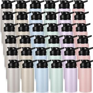 Domensi Aluminum Water Bottle Bulk, 17oz, Morandi Colors, 36 Pack