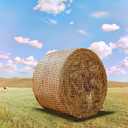 7 * 7ft Heavy Duty Slow Feeding Horse Hay Net - 1.75-inch knotless Design Saves 60% hay, 800 lbs Weatherproof Round Bale Feeder for Cattle/Goats/Sheep (7ft)