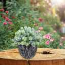 Winlyn Set of 2 Artificial Succulent Plants in Black Pots Fake Hops Aloe String of Pearls Potted Plants Small Faux Plants Desk Plants for Home Office Desk Kitchen Bathroom Shelf Windowsill Decor