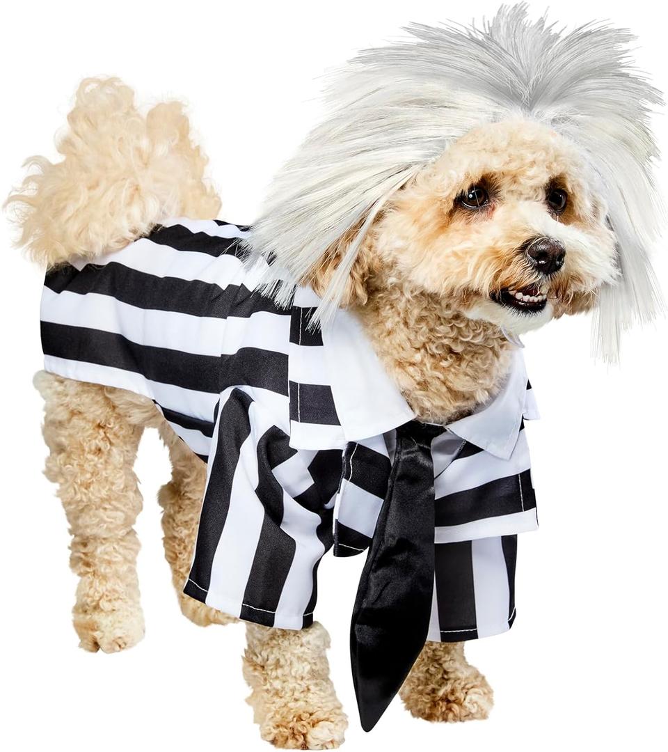 Beetlejuice: Beetlejuice Pet Costume for For Dogs or Cats by Rubies, Medium (Medium (Pack of 1))